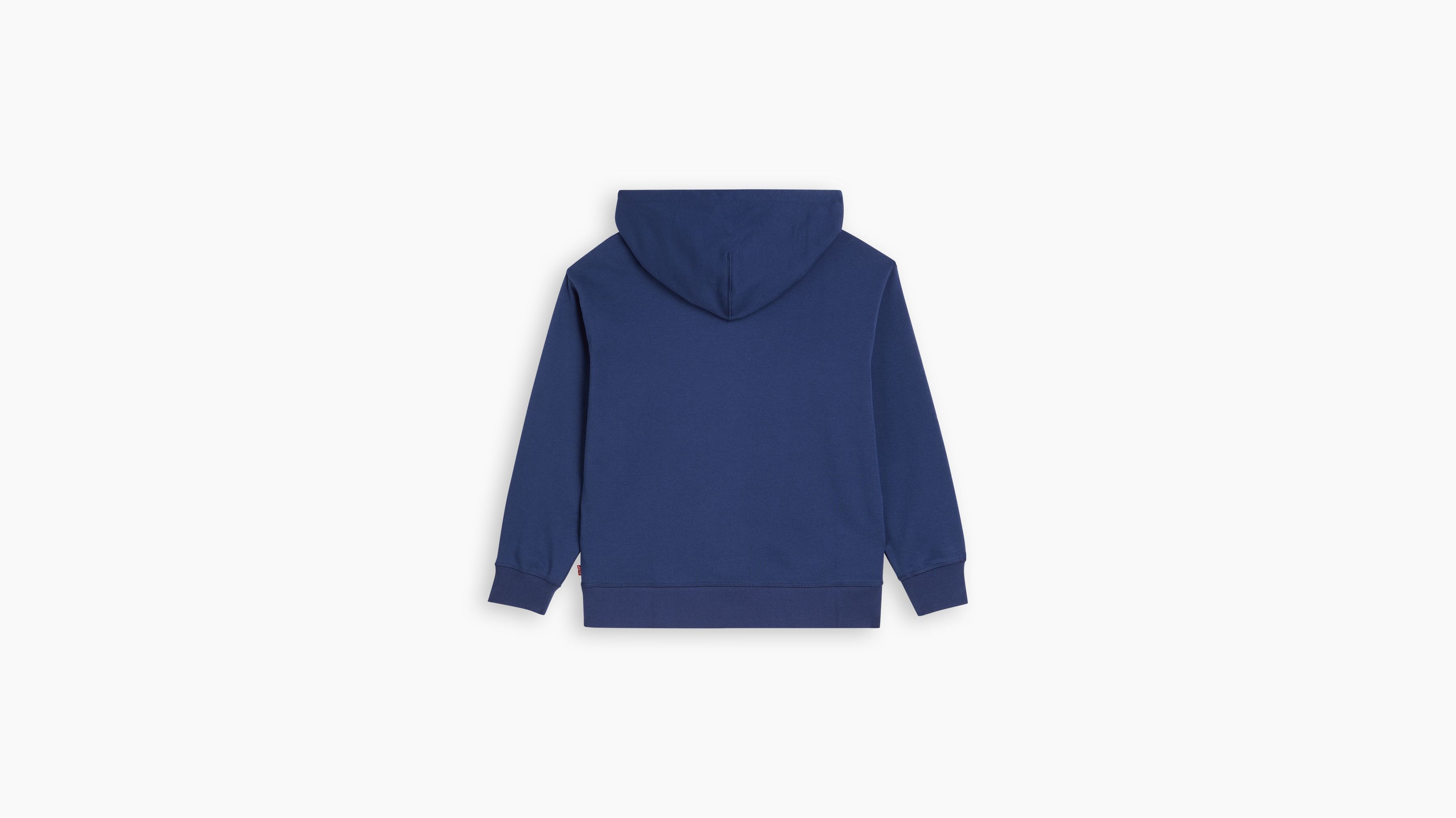 Sweat à capuche graphique standard - Scattered Floral Naval Academy - Bleu