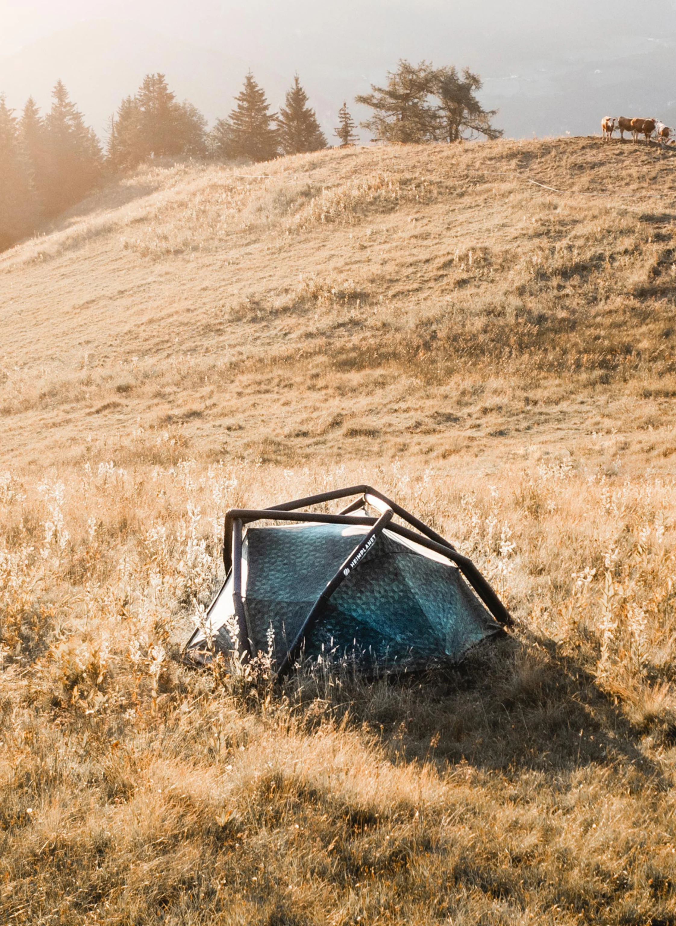 HEIMPLANET Zelt KIRRA CAIRO CAMO
