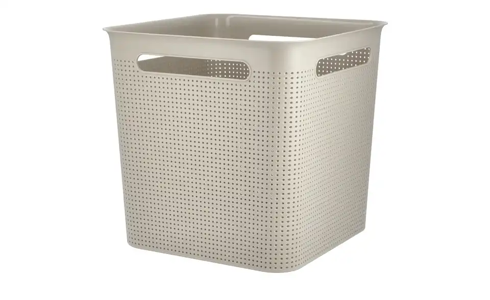 Rotho Aufbewahrungsbox 29 cm