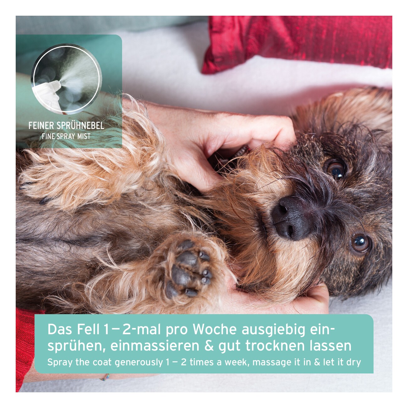 AniForte Fellgeruch STOP 200 ml