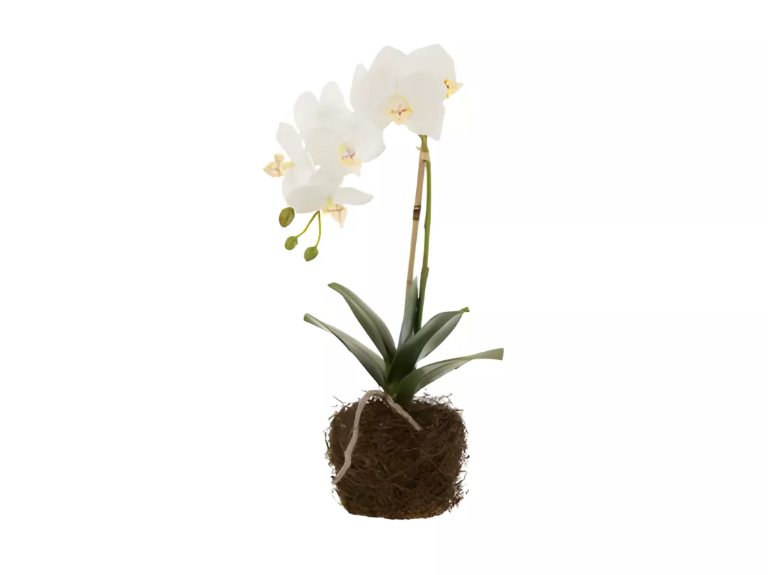 Fleur Artificielle Déco 