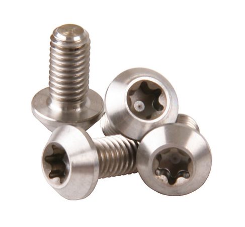 TITAN Torxschrauben T25 M5x10mm für Bremsscheiben und Bidonhalter  silber