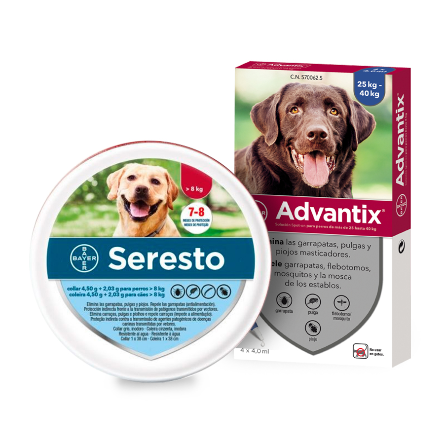 Coleira antipulgas e carrapatos Seresto para cães com menos de 8 kg e pipetas Advantix para cães de 0 a 4 kg.