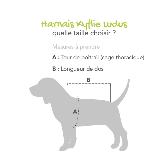 Pull Kenton Noir pour chien