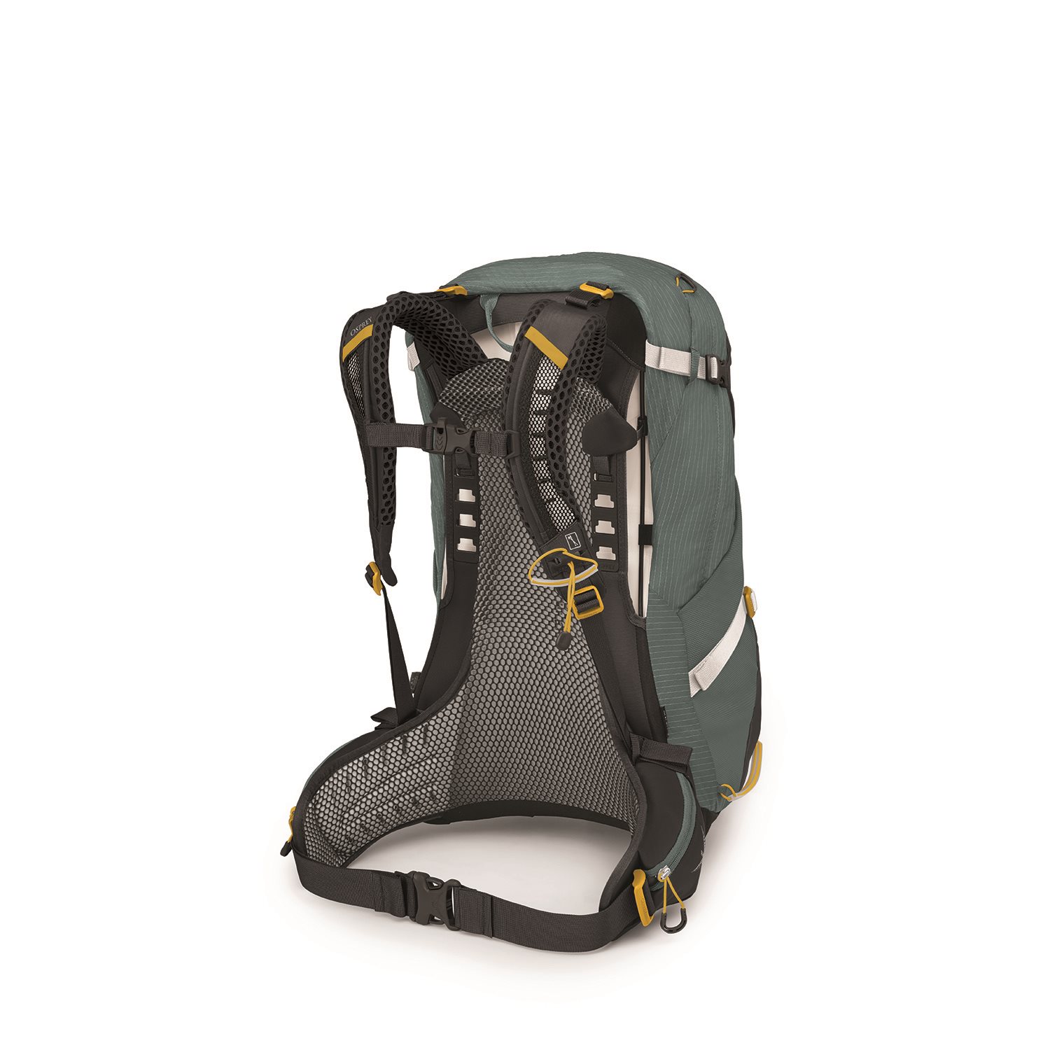 Osprey Sirrus 34 Backpack succulent green