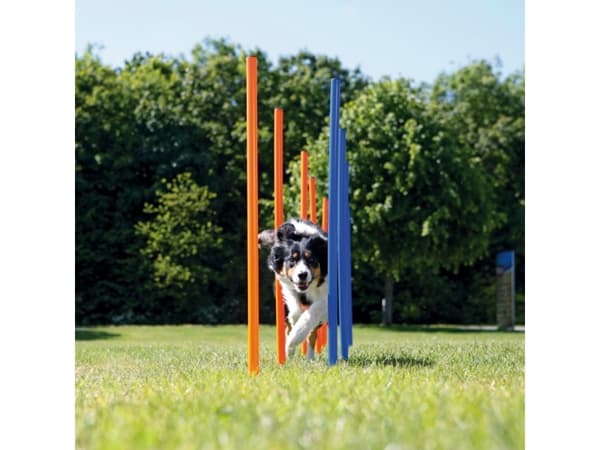 Trixie 12 Agility slalom pinde 115cm