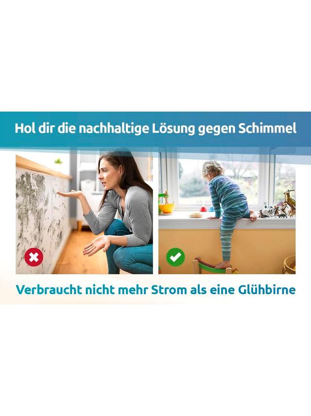 Schimmeldry