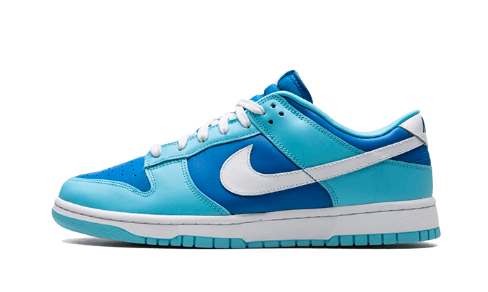 Nike Dunk Low Argon - 48h Delivery