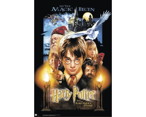 Decoratiepaneel Harry Potter 60x90 cm