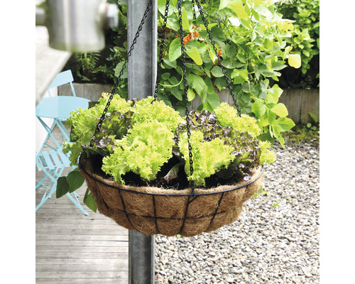 Bellissa Haas gietijzeren hangpot, 55 x 55 x 30 cm, zwart/bruin