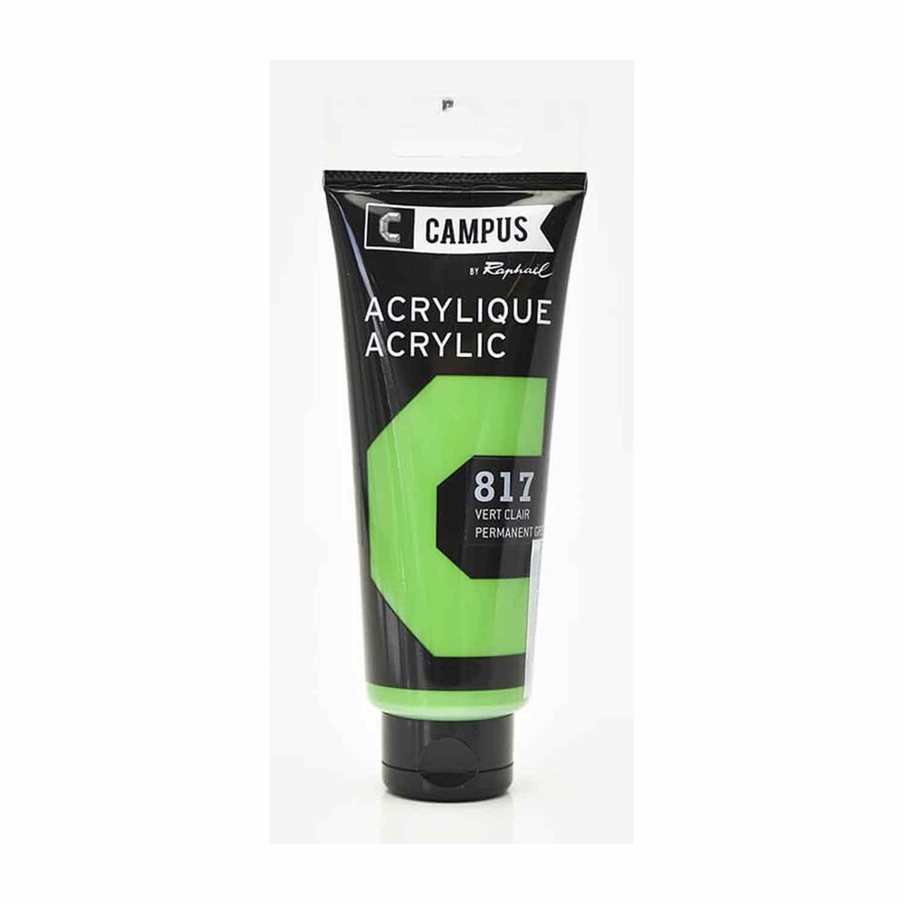 Peinture acrylique 100 ml - vert clair n°817