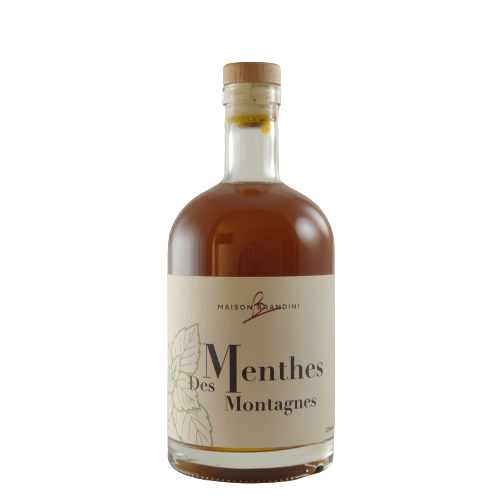 Menthe des Alpes