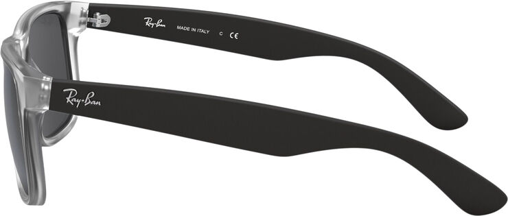 Ray-Ban JUSTIN Rubber transparent