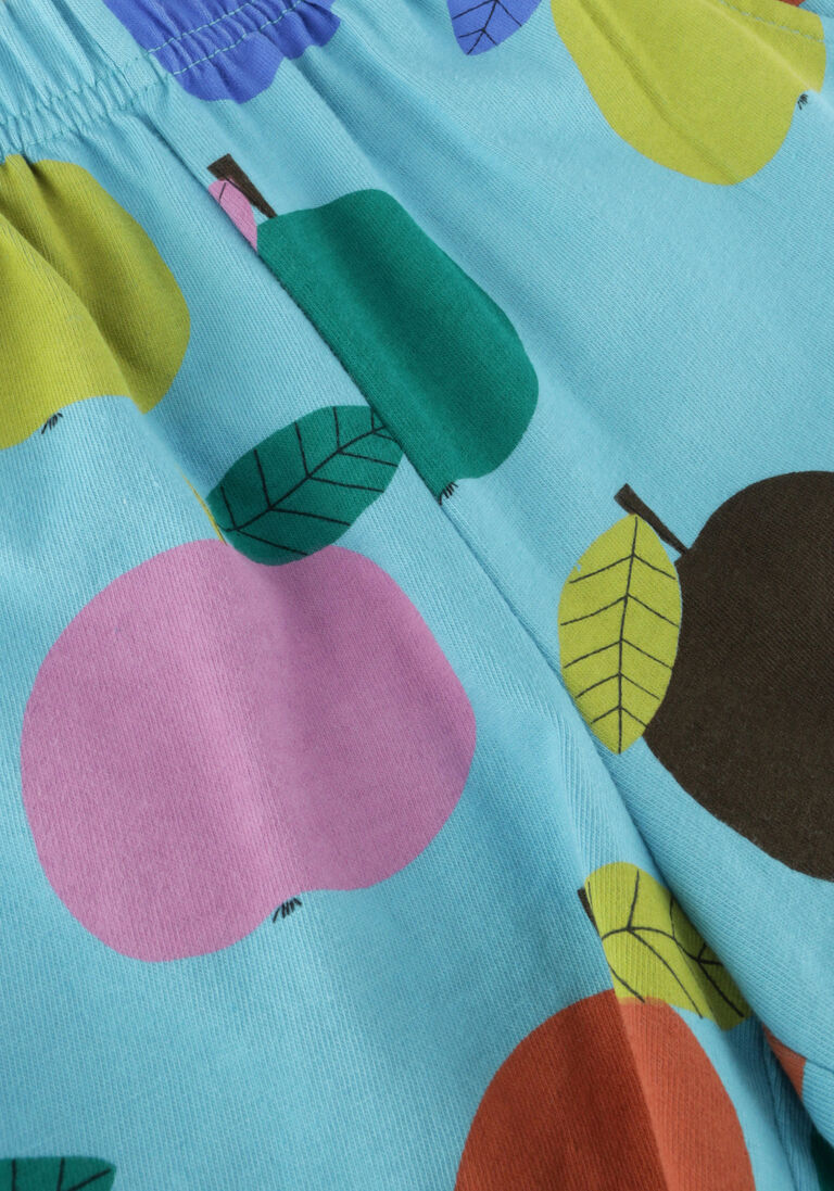 Jelly Mallow blauwe jelly mallow  colourful apple short pants