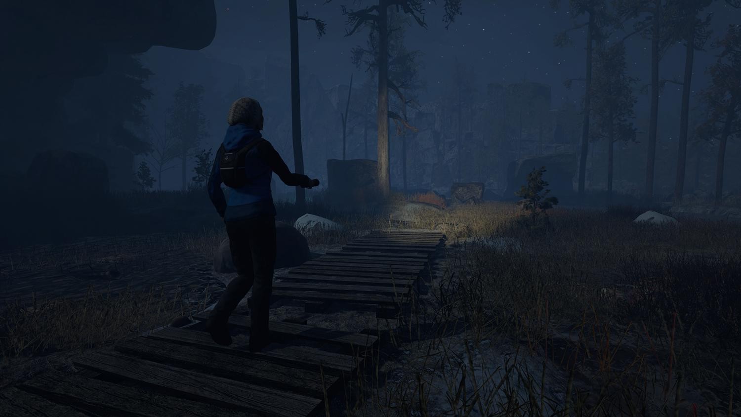 Through the Woods: Digital Collector's Edition- PC