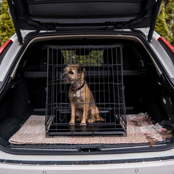 Trekker Hundebur Til Bil Hatchback XL