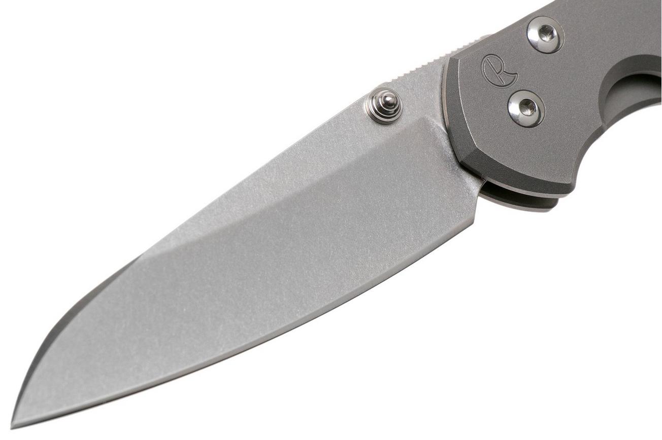 Chris Reeve Sebenza 31 Small Plain Glass Blasted Insingo S31-1685 zakmes