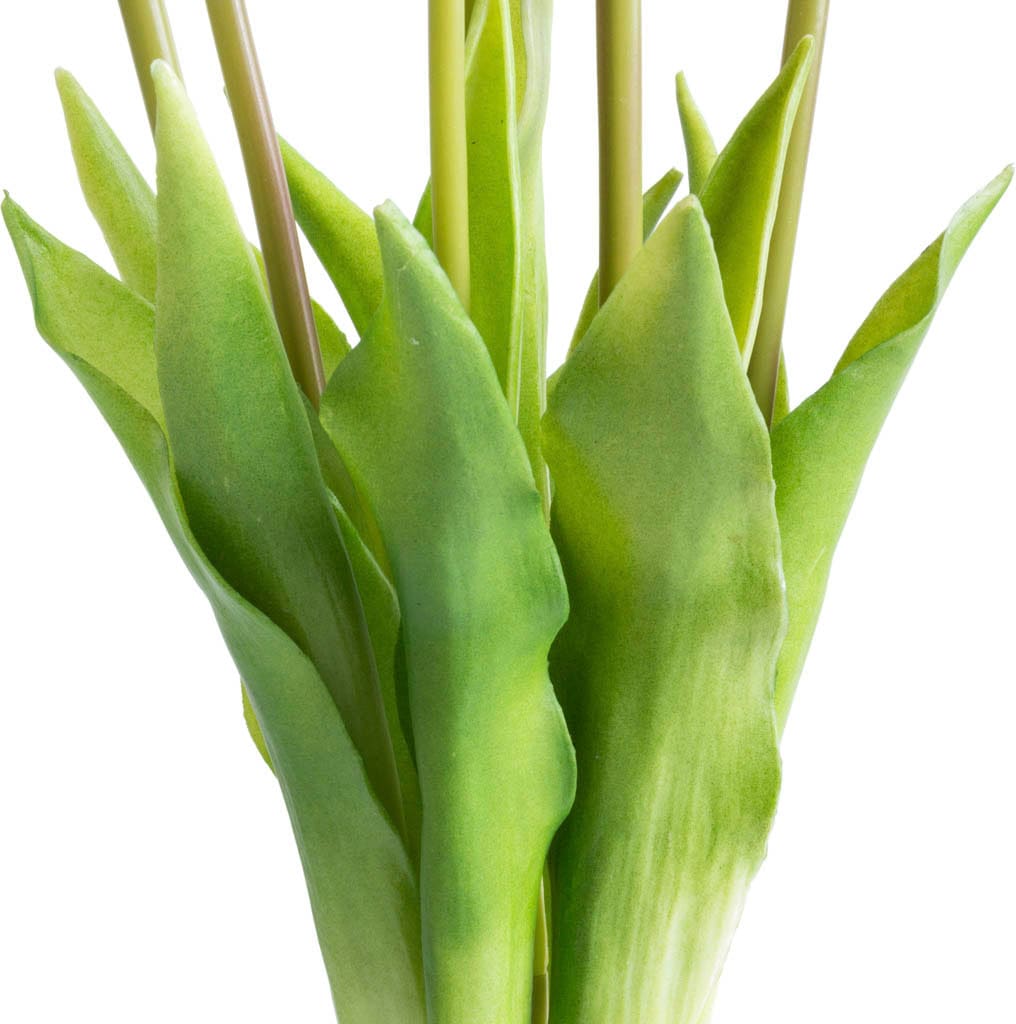 my home Kunstpflanze »Maiva« Tulpenbündel im 7er-Set
