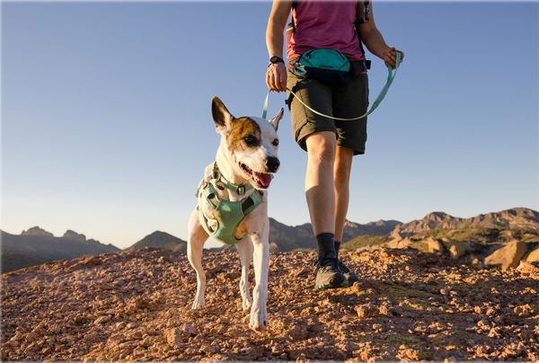 RUFFWEAR® Hundeleine Hi & Light™ Leash, 1,4