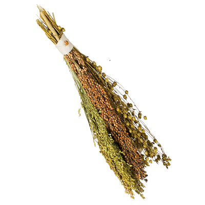 JR Birds Pick & Fly 130g