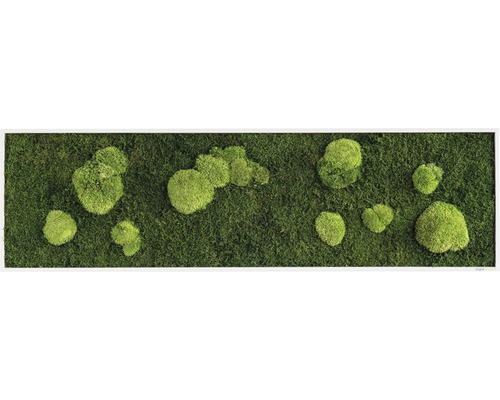 Mosschilderij bos & bolmos 140x40 cm