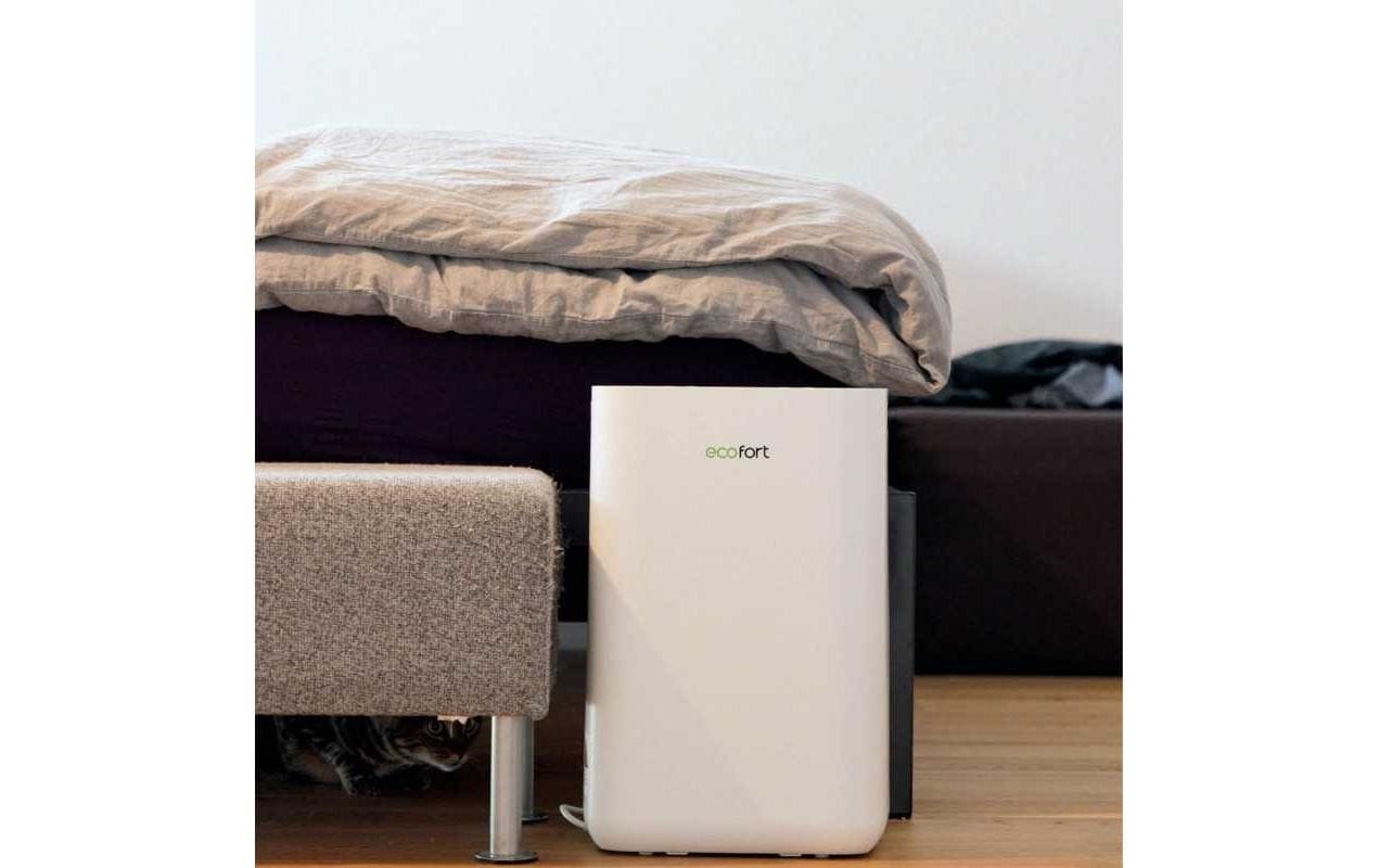 Luftentfeuchter »Ecofort ecoQ DryAir 20L« für 50 m³ Räume Tank 4,5 l