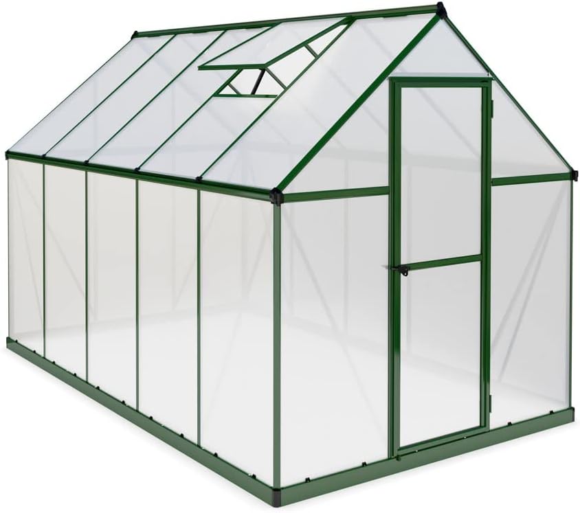 Canopia by Palram Gewächshaus klein Mythos 6x10 Treibhaus 306x185 cm Aluminium Grün Tomatenhaus Polycarbonatplatten UV-beständig