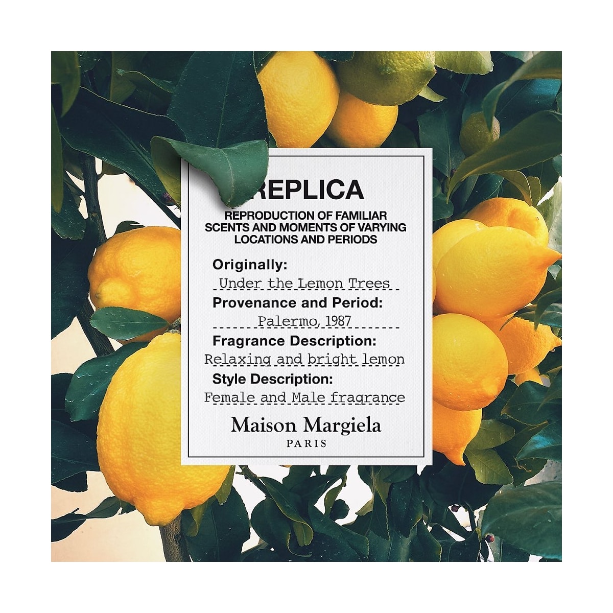 Maison Margiela REPLICA Under The Lemon Trees Eau de Toilette