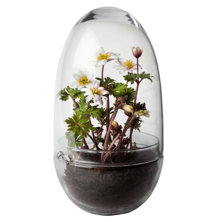 Design House Stockholm Grow Greenhouse vaas medium
