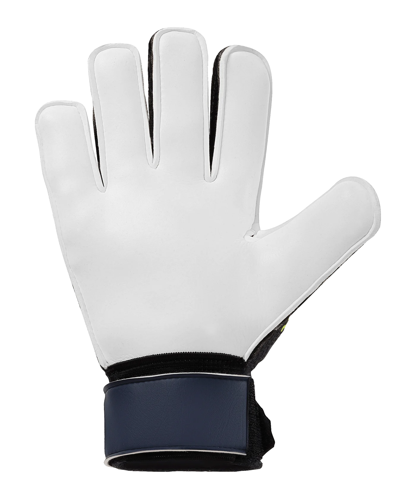 uhlsport Prediction Starter Torwarthandschuhe Blau F01