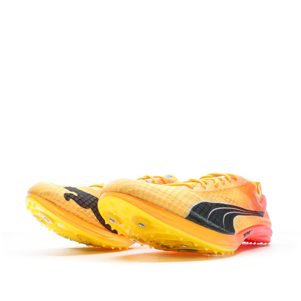 Puma Chaussures Athlétisme Orange/Rose Homme PUMA Evospd Distance Elite+