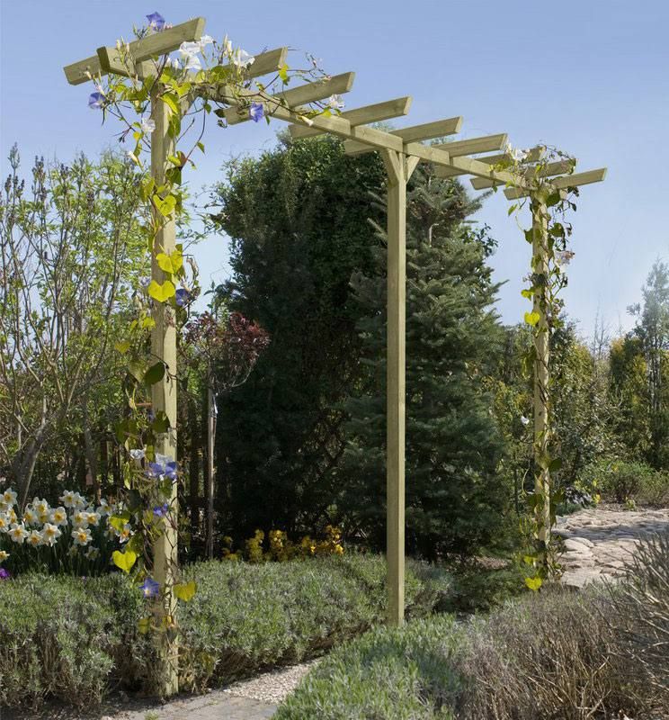 edigarden Pergola 7x7x450 cm