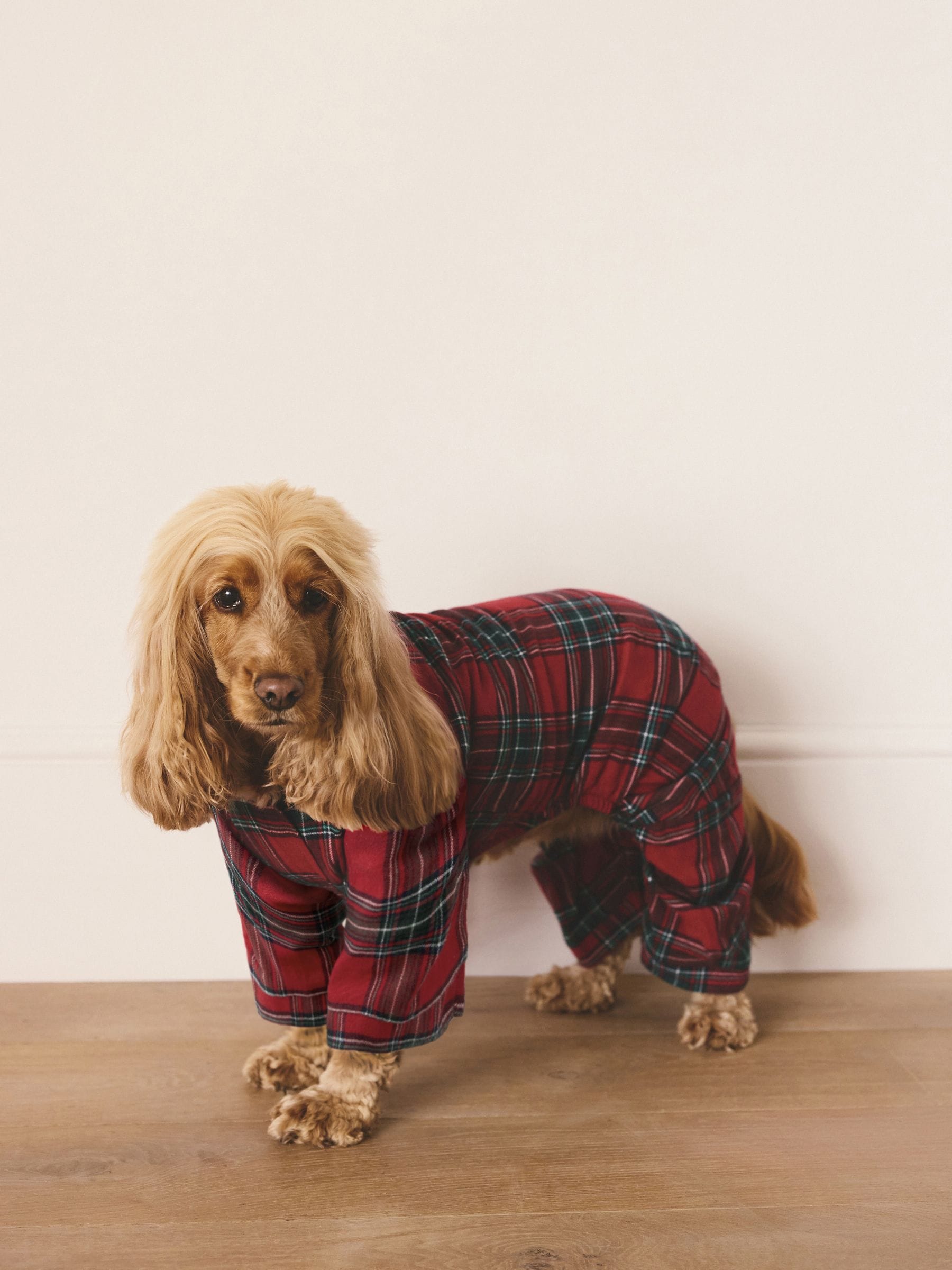 Red Tartan Matching Family Christmas Pet Pyjamas