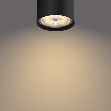 Philips opbouwspot Star zwart