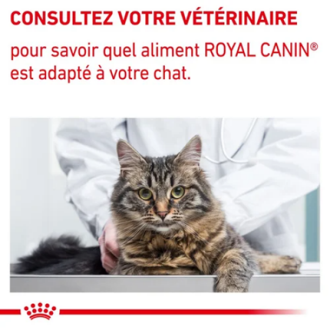 Royal Canin Mature Consult Balance Senior Consult Stage 1 pour chats