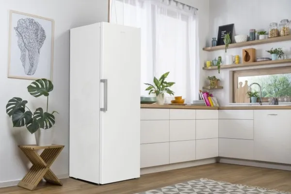 Gorenje Essential FN619EEW5 - Fryser - stående - bredde: 59.5 cm - dybde: 66.3 cm - højde: 185 cm - 280 liter - Klasse E - hvid