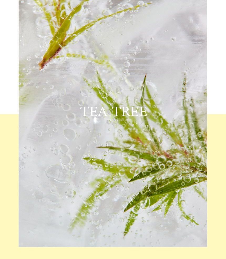 STEAMBASE - Tea Tree Scalp Water Scaler Navulling