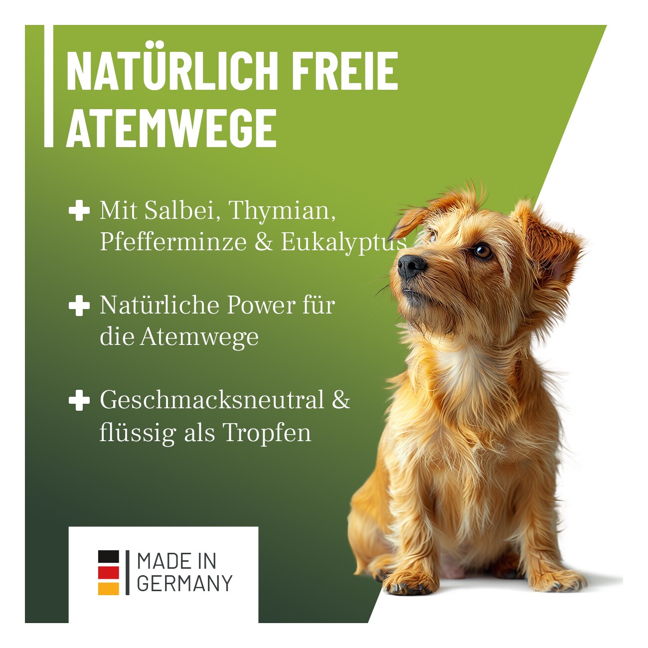REAVET Hustensaft Tropfen 100ml
