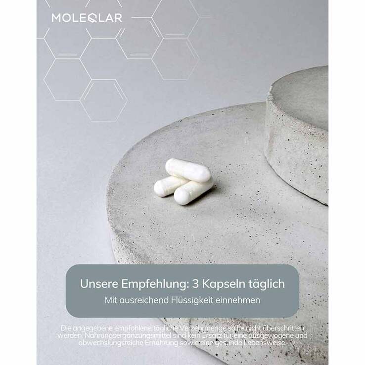 Moleqlar Magtein Magnesium-L-Threonate Kapseln, 90 St