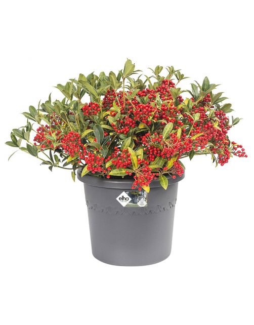 Elho Bloempot Algarve - Buitenpot - Ø25x21 cm Grijs