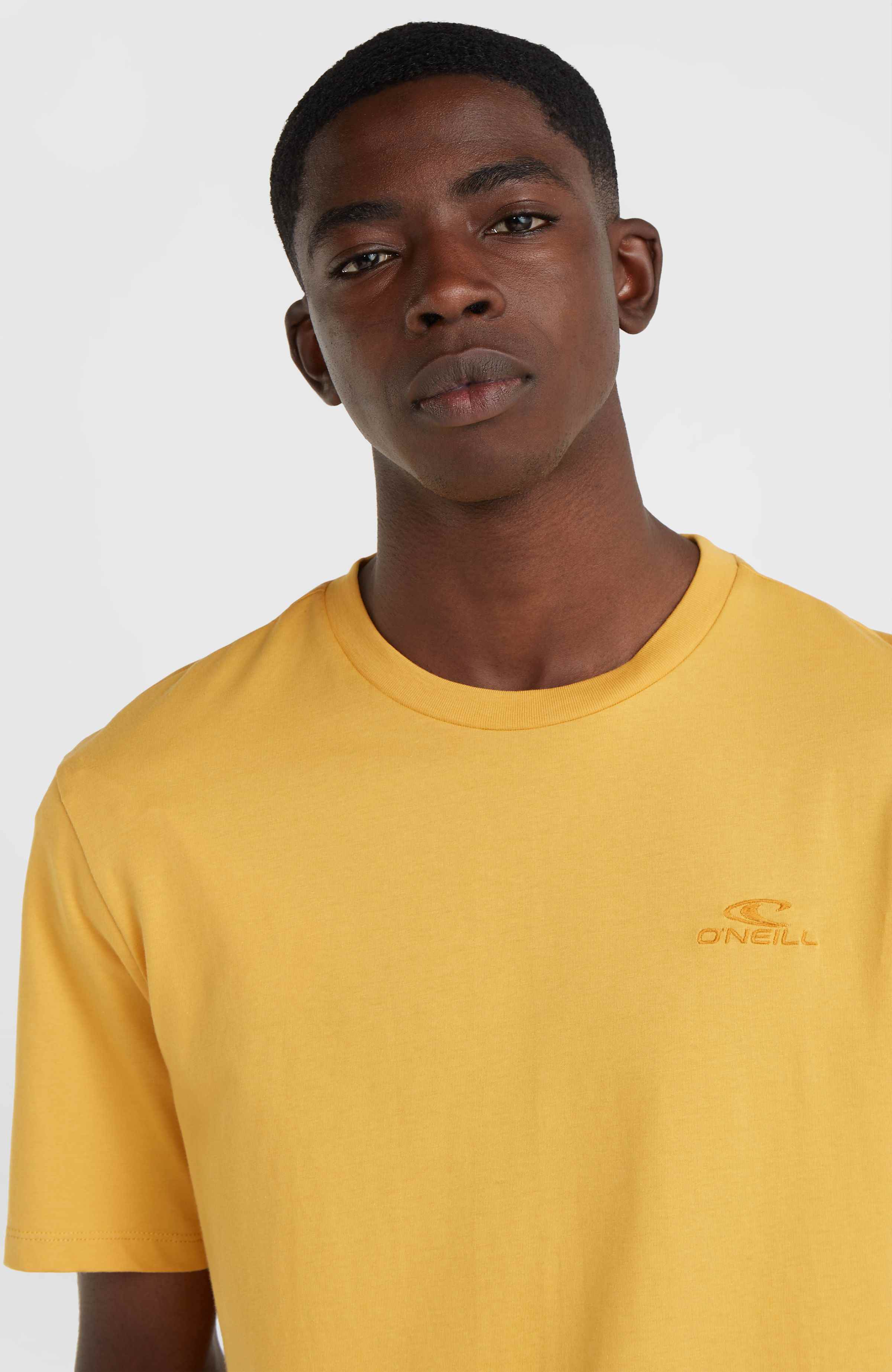 Small Logo T-shirt O`Neill Goud
