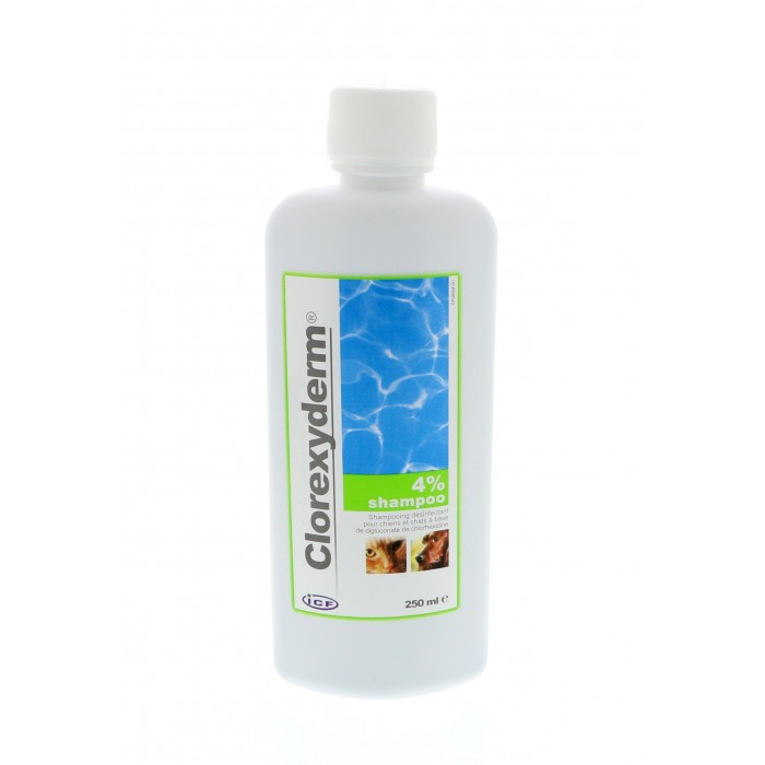 Chlorexyderm shampooing 4%