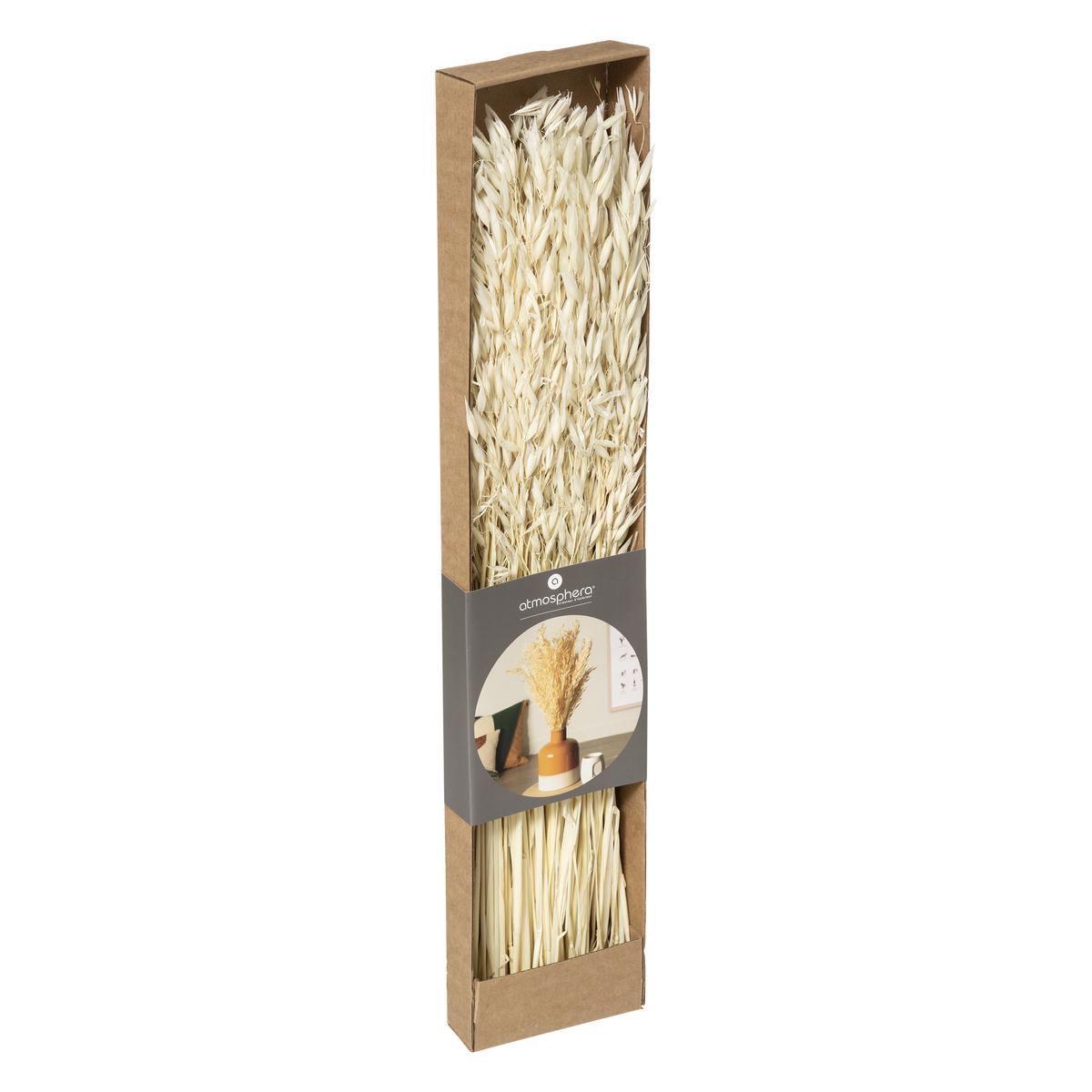 BOUQUET SECHE NATUREL KRAFT H.60CM