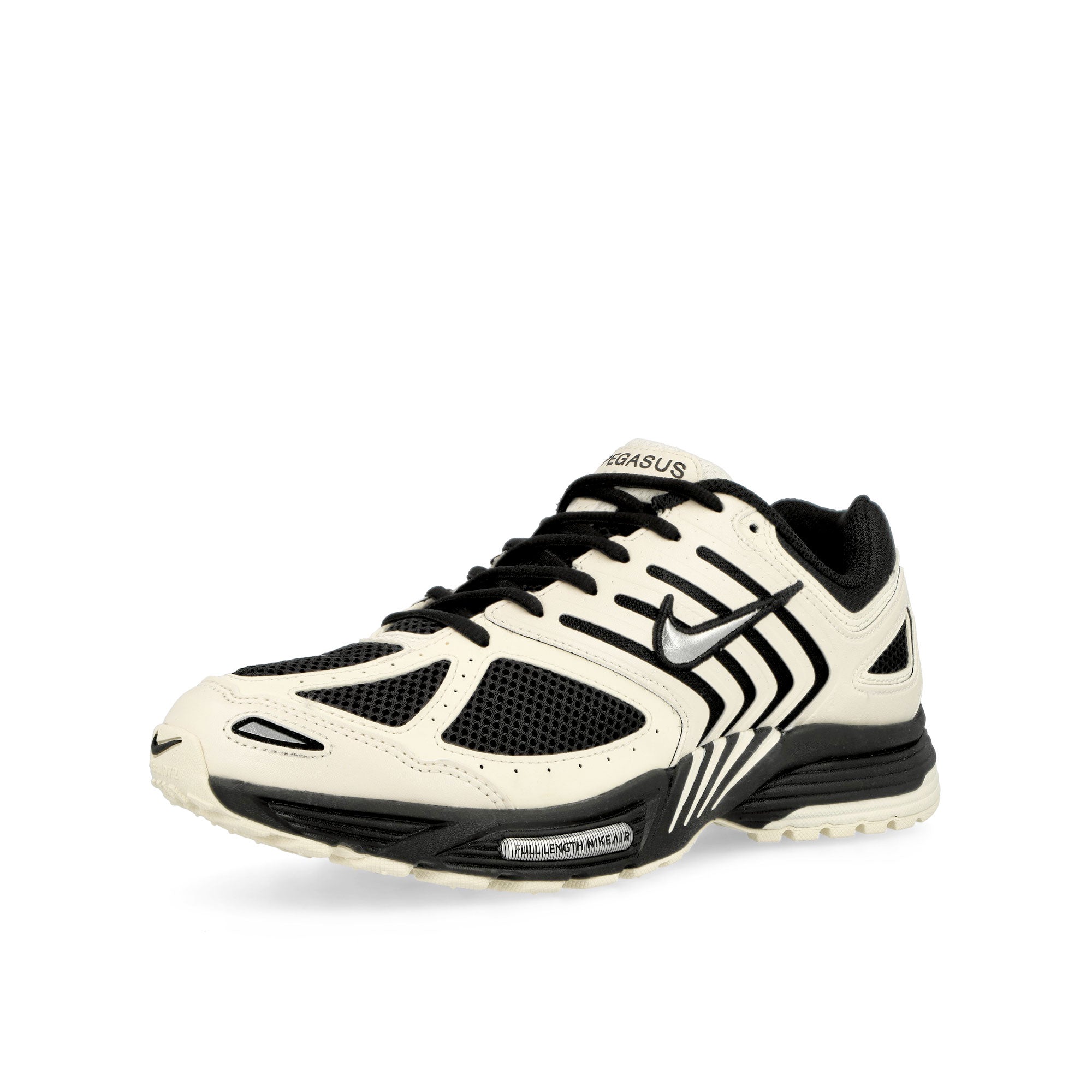 Nike<br>Air Pegasus 2005