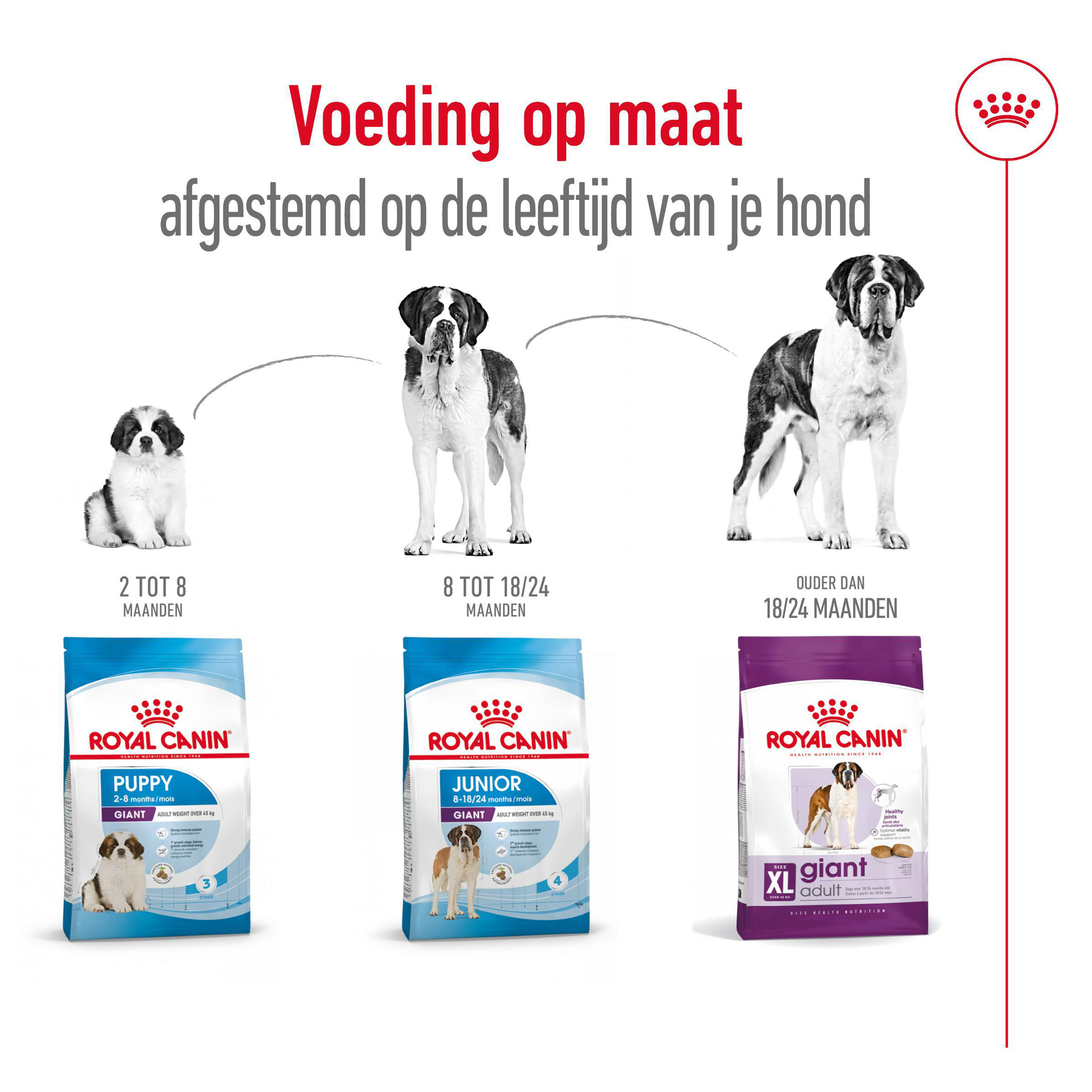 Royal Canin Giant Adult - Hondenvoer
