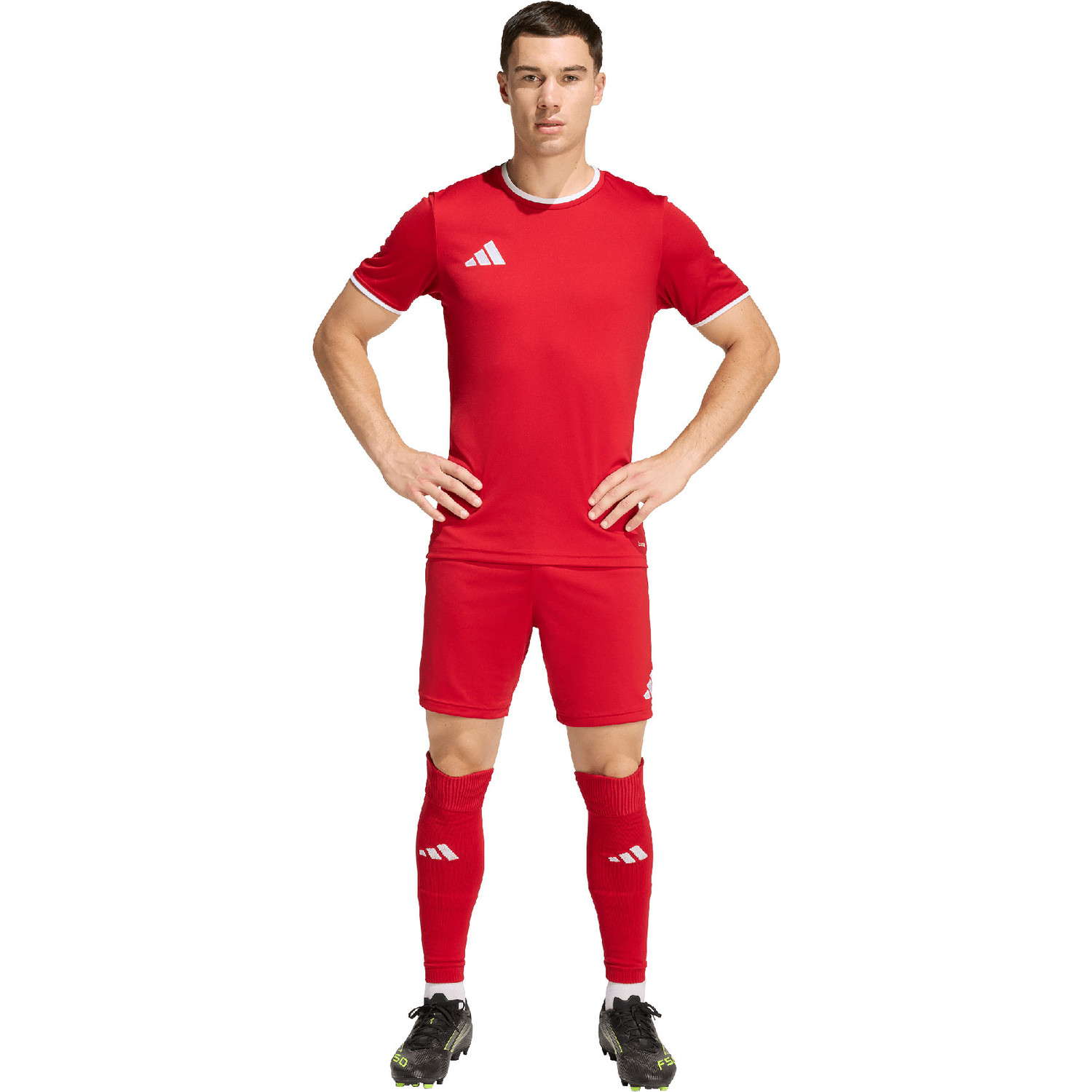 adidas Entrada 26 Training Short