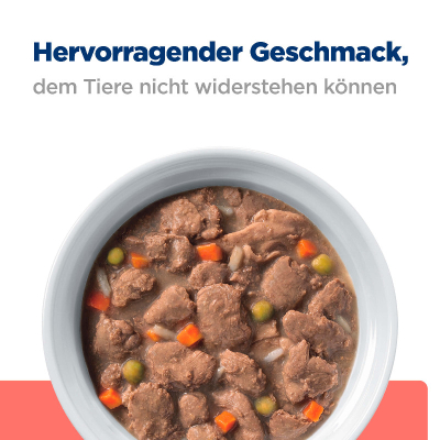 Hill's VET Hund Prescription Diet On-Care Ragout Huhn 12x354g