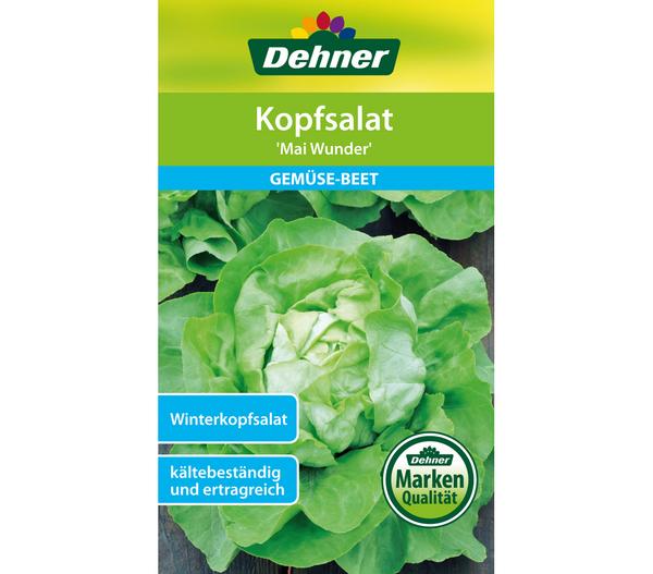 Dehner Samen Kopfsalat 'Mai Wunder'