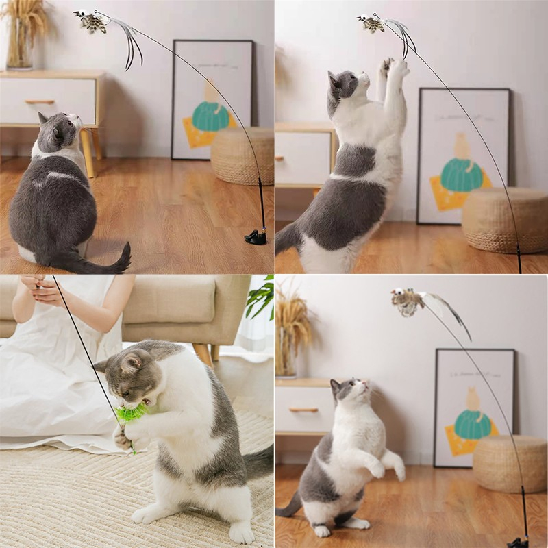 Interaktive Katzen Angel Haustier Spielzeug Feder mit Glocke / Saugnapf - Grün
