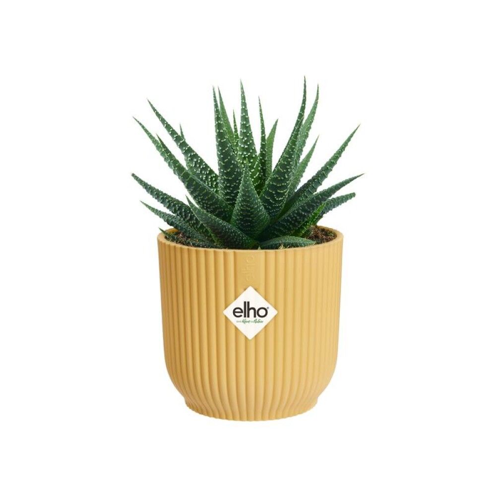 INNEPOTTE ELHO VIBES FOLD ROUND MINI Ø7CM GUL